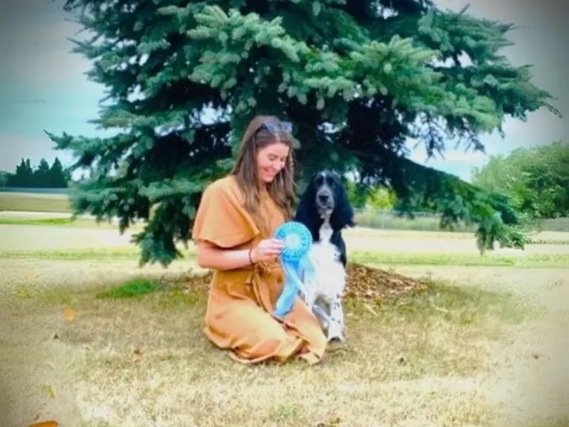 Wallama's Lo And Behold - English Springer Spaniel