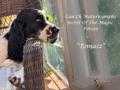 Tomasz in a casual setting